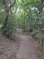 狭山公園の小道